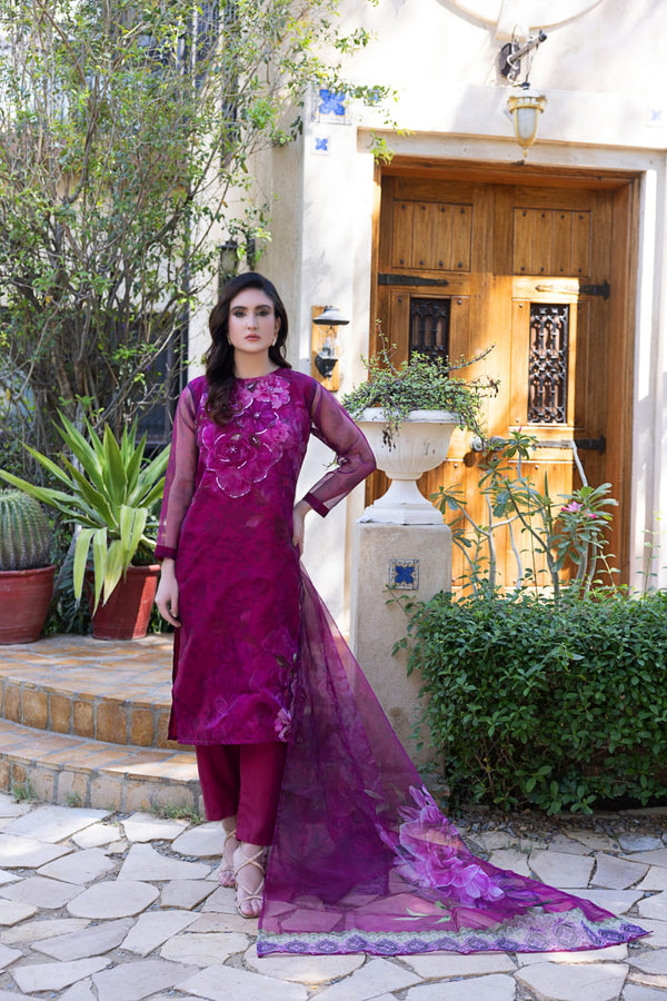 3PC Organza Shirt With Hand Embellishment on Front Paired with Pants and Organza Digital Dupatta-Stitched
